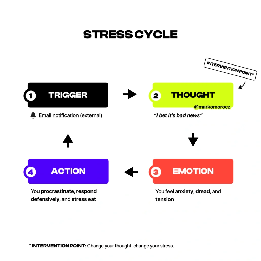 Stress cycle diagram showing trigger, thought, emotion, and action connected in continuous loop. Intervention point highlighted at thought stage for breaking harmful stress patterns.