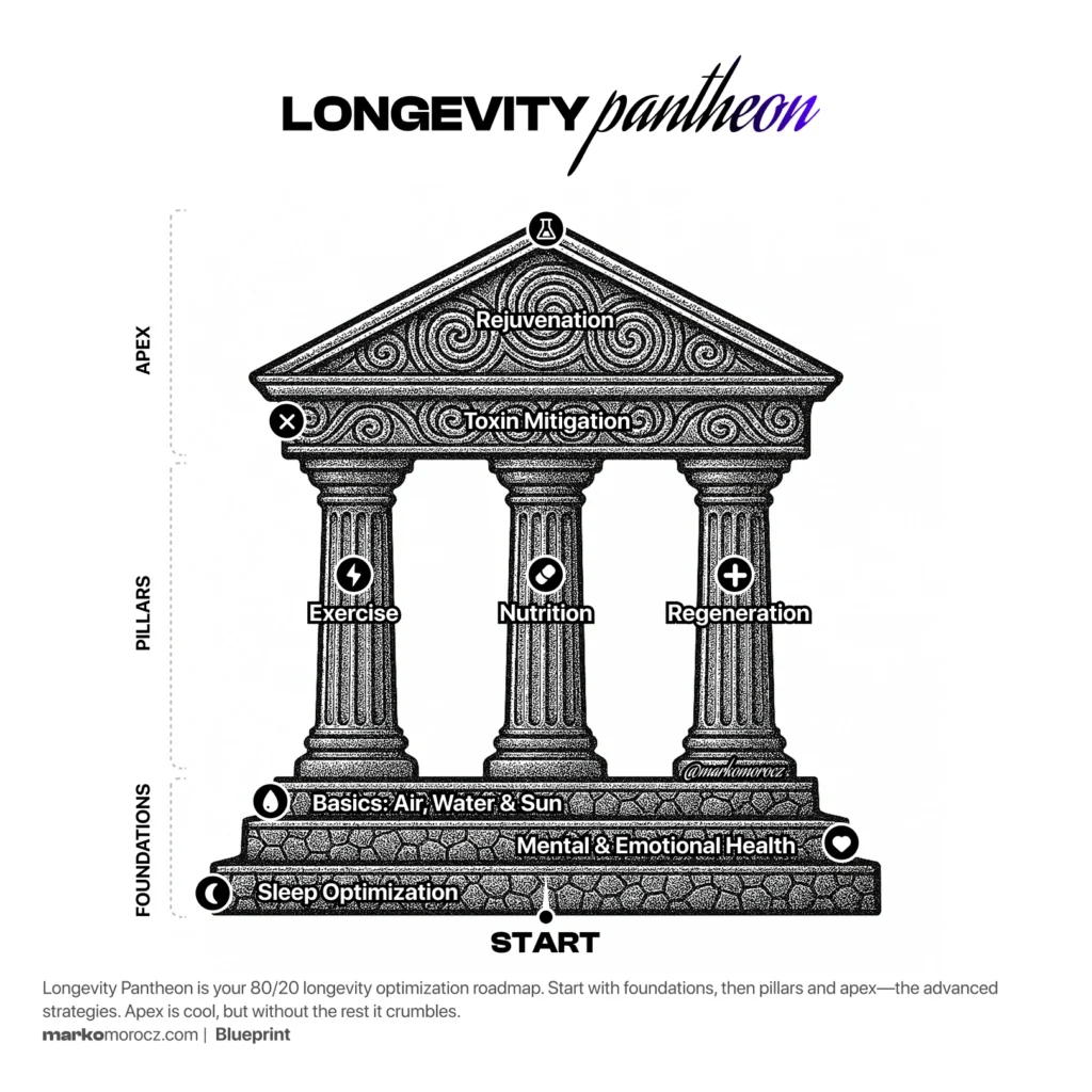 Longevity Optimization Pantheon representing 8 stages: sleep, mind, basic needs, exercise, nutrition, regeneration, rejuvenation and toxin mitigation. Follows the 80/20 rule.