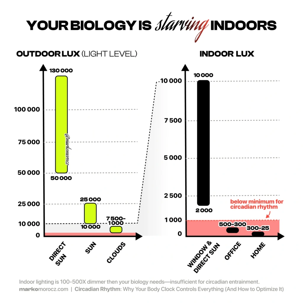 Circadian light intensity comparison showing outdoor vs indoor environments - indoor lighting delivers 100-500X less lux than outdoor sunlight required for optimal biological rhythm regulation and hormonal performance.