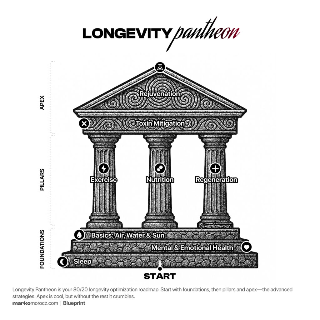 Longevity optimization roadmap representing 8 stages: sleep, mind, basic needs, exercise, nutrition, regeneration, rejuvenation and toxin mitigation. Follows the 80/20 rule.